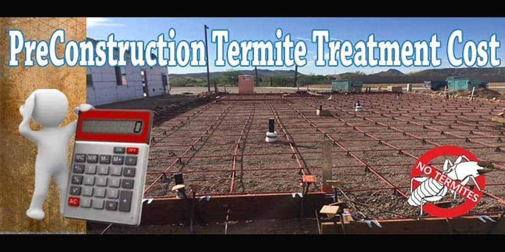 Best PreConstruction Termite Treatment Phoenix Az