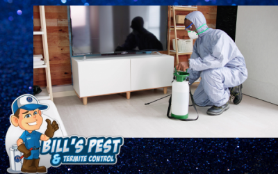 Top Methods to Prevent Termites