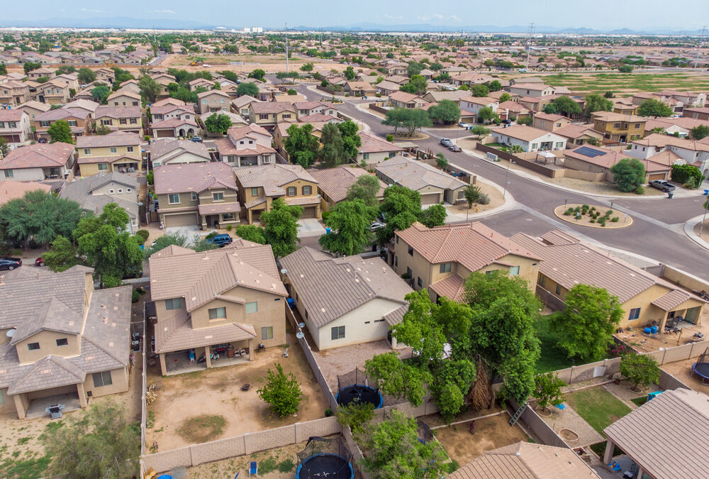 11 Termite Questions: Keep Termites Out of Your Arizona Home