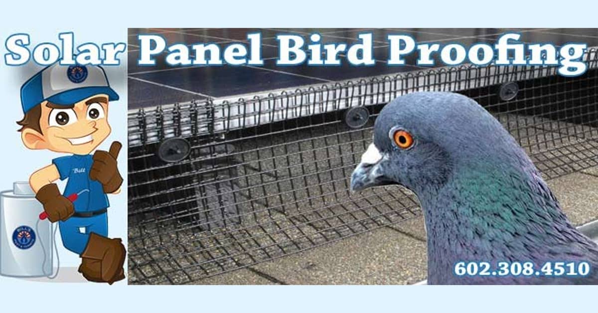 Solar Panel Pigeon Proofing Paradise Valley, AZ