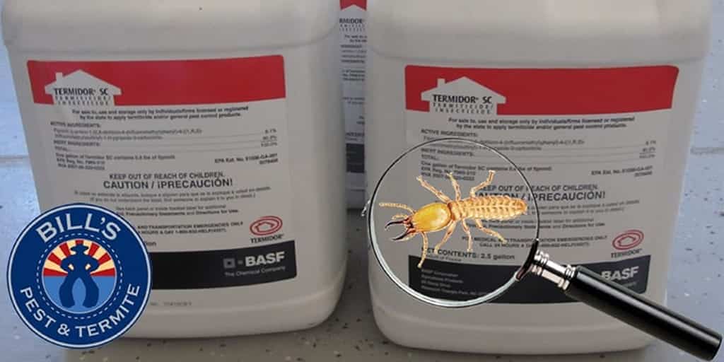 Need Termite Treatment Services? FREE Quotes, Inspections and Second Opinions 602.308.4510