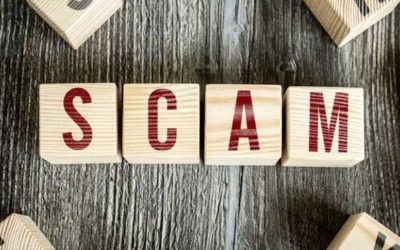 Termite Inspection Scam in Phoenix Az